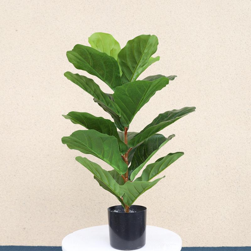 绿典仿真绿植琴叶榕盆栽通体仿真树北欧风假树假绿植装饰仿真榕树