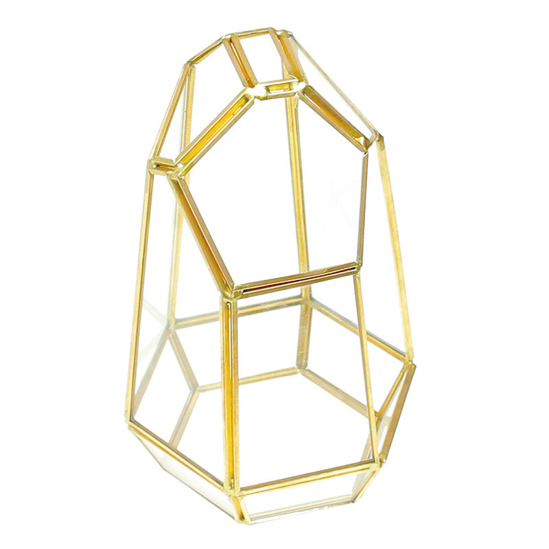 苔藓玻璃花房微景观生态瓶盆罩创意礼品物批发植物绿植