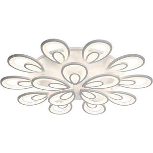 创意花型客厅灯房间北欧双水滴吸顶灯网红卧室现代灯具