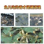 鱼饲料沉性鱼食水产养殖鲫鱼厂家草鱼水产养殖鲫鱼批发直销