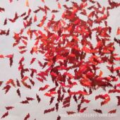 7mm雷电形闪电亮片金葱粉形镭射幻彩闪粉片pet高温珠片颜色可选