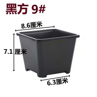 景天盆黑方白方盆育苗盆基地花盆加厚电商黑色白色方多肉批发
