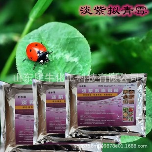 拟销售淡紫拟青霉农业水溶性生物土壤改良供应淡紫现货青霉菌