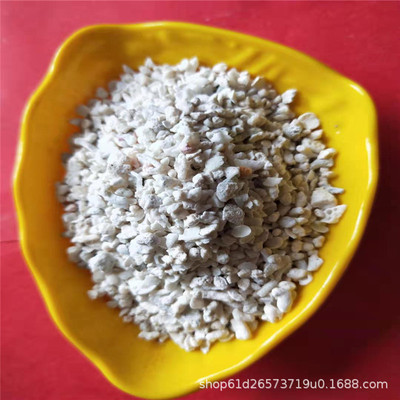 鱼缸底砂白沙菲律宾沙贝壳沙珊瑚砂钙质沙海洋馆造景装饰沙