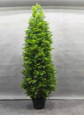 杉树松柏树仿真绿植罗汉松盆景柏树枝仿真假刺柏侧柏龙塔柏仿真