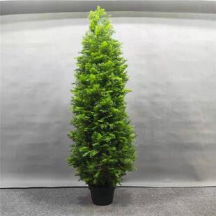 仿真松柏树仿真绿植侧柏柏树枝仿真假刺柏罗汉松盆景龙塔柏杉树