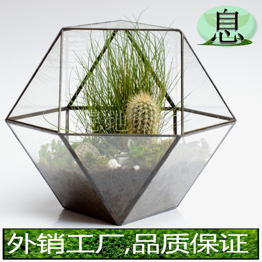 16012c包邮!几何微景观盆栽玻璃多肉植物摆件花房玻璃小花房
