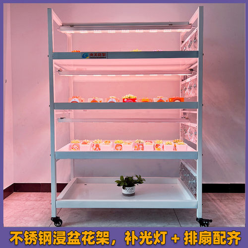 多肉植物浸盆花架冰玉水槽托盘接水盘室内阳台水培多层落地不锈钢