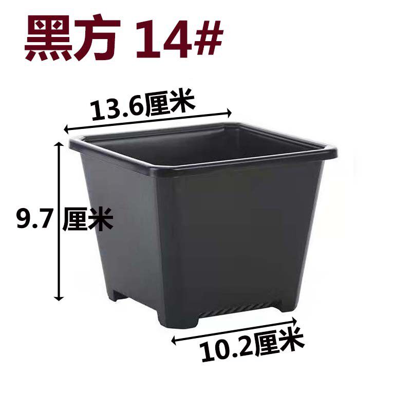 景天盆黑方白方多肉盆厂家育苗盆多肉批发基地花盆电商基地用