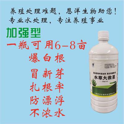 金恩洋植物大救星加强型促水草发白根高温保草有效生根粉水草通用