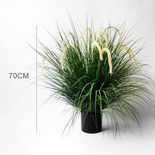 仿真洋葱苇草仿真植物室内绿化景观仿真绿植盆栽狗尾草芦草盆景