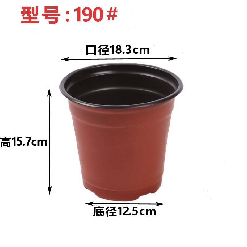 双色育苗育苗多肉育苗盆大口径大号基地花盆塑料小花盆厂家批发