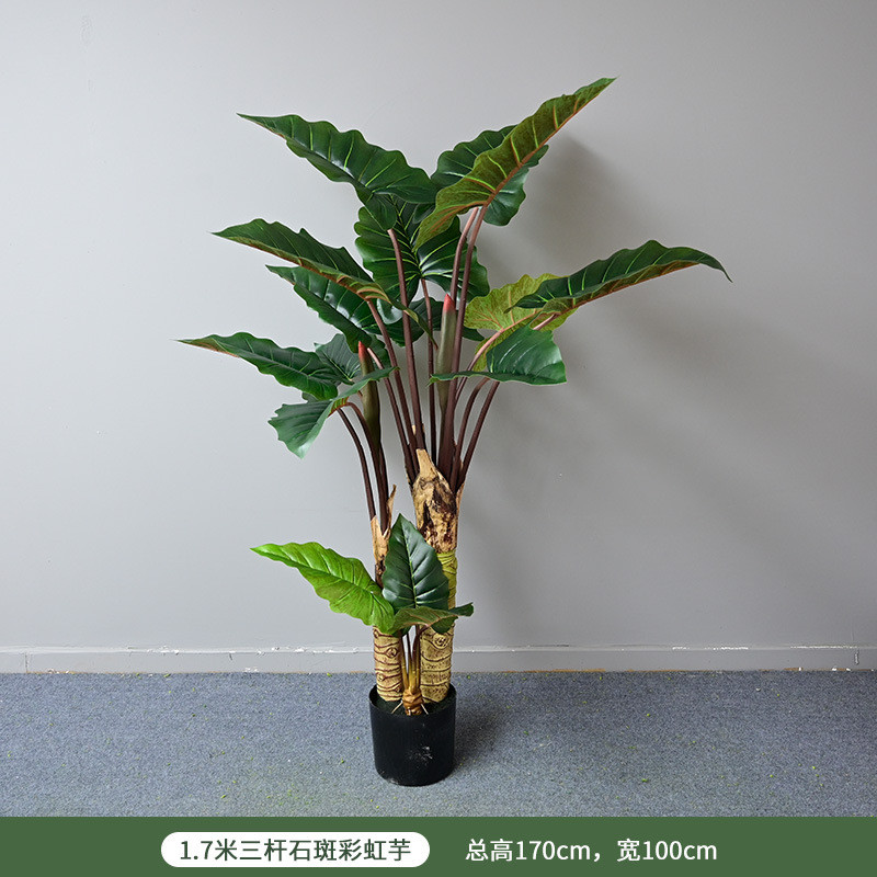 仿真绿植石斑彩虹芋落地商场人造彩虹芋大型家居盆景假树造景装饰