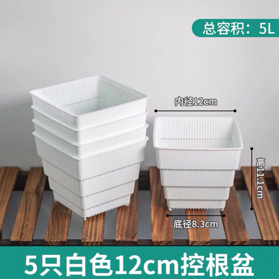 控根盆方形加厚塑料仙人球多肉景天肉锥生石花播种育苗盆,鲜花速递/花卉仿真/绿植园艺,花盆,淘宝优惠券,粉丝福利购,淘宝优惠卷