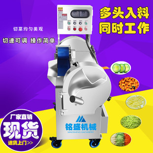 商用豆长角多功能切段机不锈钢苦瓜切末机小型莲藕切片设备