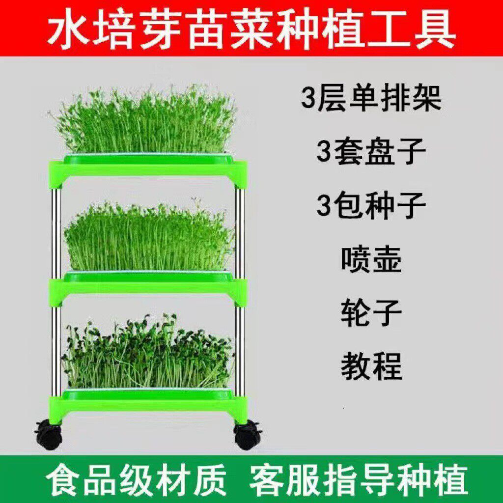 育苗盘阳台种菜塑料加密芽苗菜种植架盘豆芽水培无土栽培架子育苗
