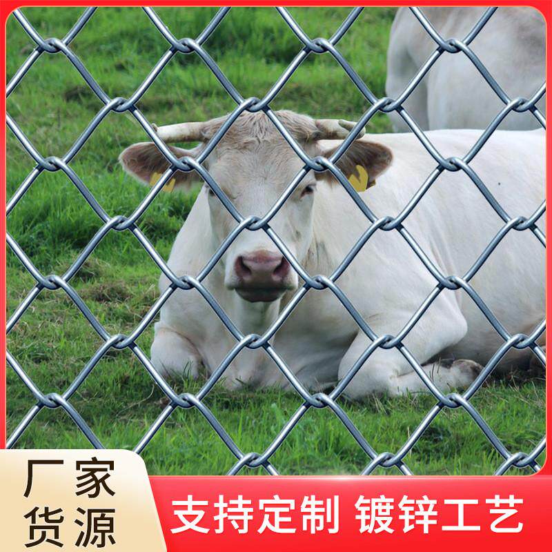 养殖镀锌铁丝网钢丝拦网山区果园圈地菱形铁丝防护网勾花网