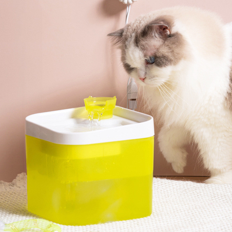 宠物饮水机自动过滤透明猫咪饮水器活水喝猫狗循环水器喂水器