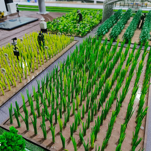 热销沙盘模型地形地貌沙盘农业沙盘模型城市规划沙盘建筑模型沙盘