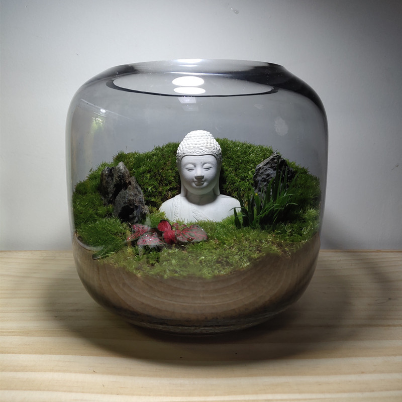 花开见佛桌面发微景观生态瓶雨林缸盆景禅意盆栽苔藓好养成品植物