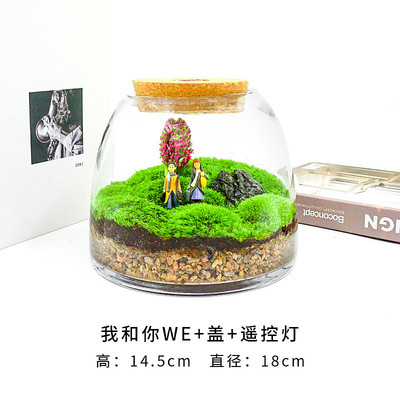 2u8k青苔苔藓植物景观闷养瓶微景观微观生态瓶微缩盆栽盆景造景成