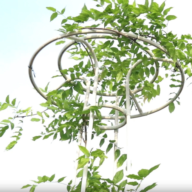 热销新款伞型花架爬藤架户外花卉攀爬架花支架月季铁线莲14mm管径