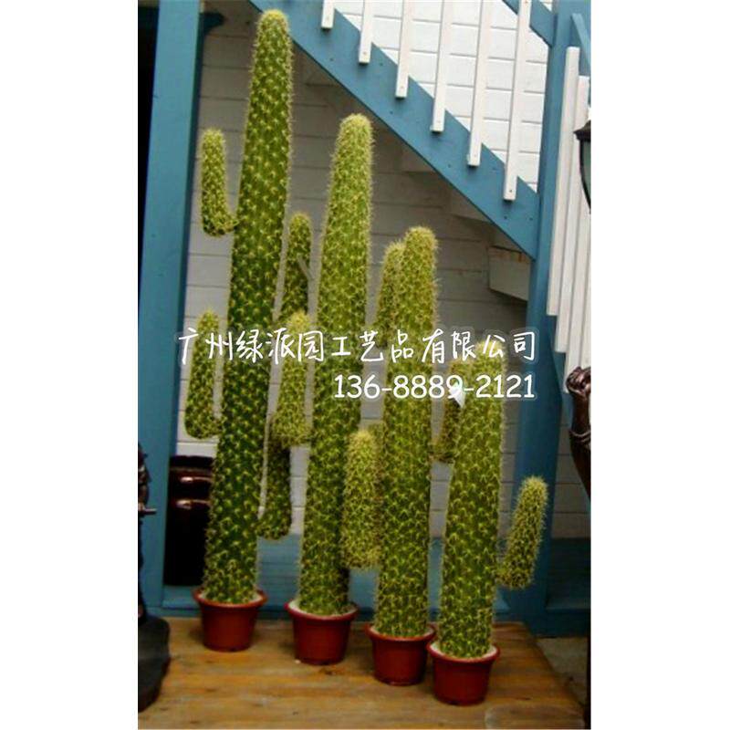 大型摆设品仿真仙人掌仙人柱人造仙人球室内热带植物
