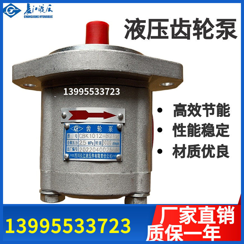 四川长江齿轮泵CBK1025-B2FRFR/CBK-1004/06/08-B2FL油泵/液压泵
