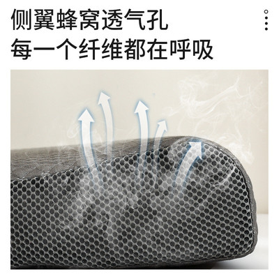 zq内胆乳胶枕套一对装40cmx60cm枕芯保护隔离层防水套枕头套家用