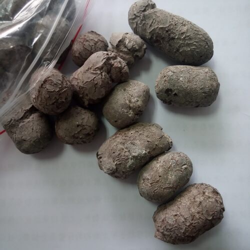 四川陶粒/填充用陶粒/陶粒实惠批发价格可发货