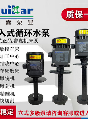 LuiKar睿嘉Rocoi高压线切割机床冷却精雕机油水泵LDPB1-2-4-15-18