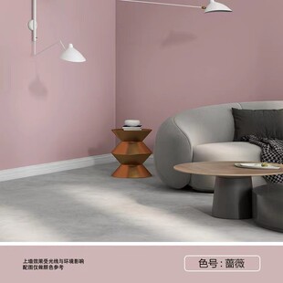 科罗菲那自刷贝壳翻新水性贝壳粉原浆批发家用室内外墙面无味粉