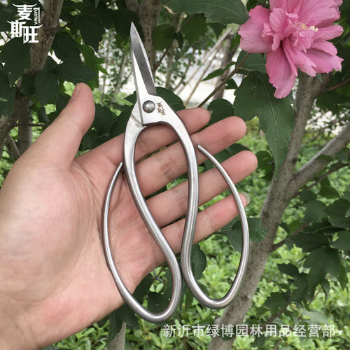 园艺工具盆景造型专用工具修剪园艺剪不锈钢剪插花剪根剪