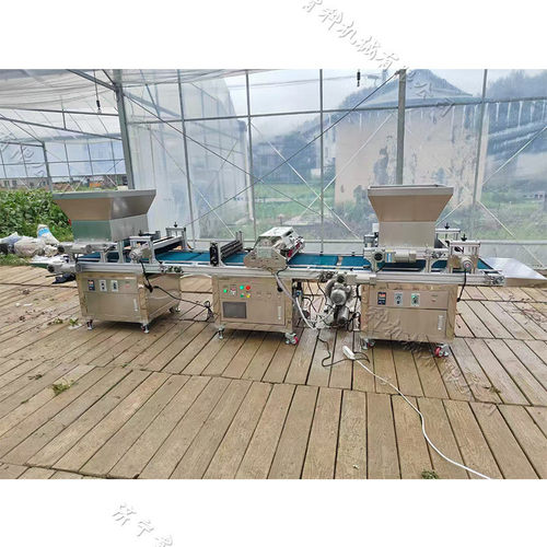 漂盘穴盘育苗自动点种机蔬菜基地全自动育苗播种机蔬菜种点穴机