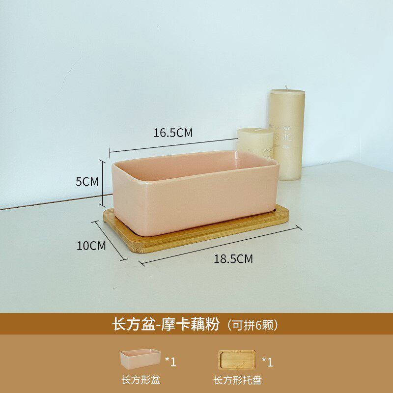 多肉小花盆陶瓷盆托盘可爱小白带小号白色长方形仙人掌多肉盆直销