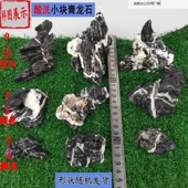 草缸青龙石小块精选微观酸洗造景石苔藓缸迷你型盆景摆件假山石头