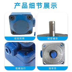 16yb1 6yb1 50中高压定量液压双联泵 10yb1 油泵yb1叶片泵yb1