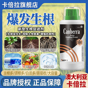 蔬菜生根剂强力生根爆根果树堪培拉花卉通用型快速发根壮苗液体肥