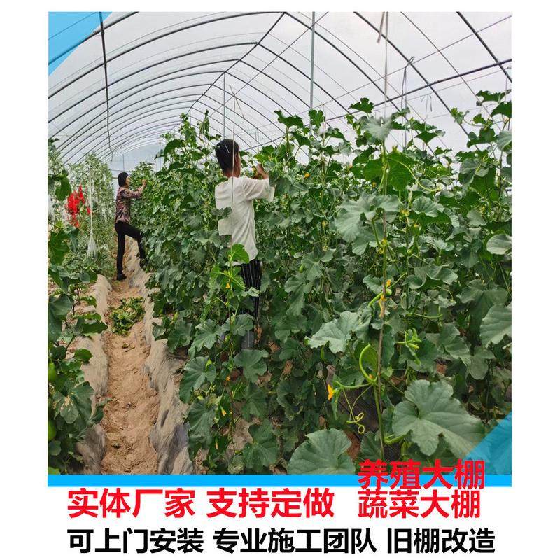 热销蔬菜拱棚安装提供大棚骨架薄膜棉被安装建设一体化钢管骨架,农机/农具/农膜,温室大棚支架,淘宝优惠券,粉丝福利购,淘宝优惠卷