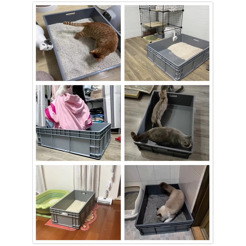猫砂盆号集装箱周转箱特大号60斤40缅因猫巨型巨大全开放100