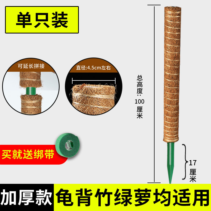 椰丝棒绿箩柱架支撑杆棕榈植物爬藤花椰棕绿萝固定架攀爬柱龟背竹
