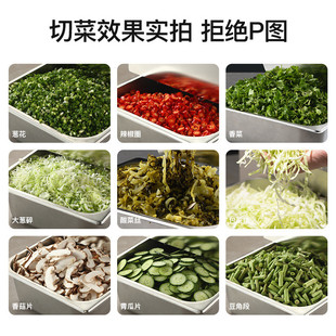 商用电动葱花多功能切菜机小型韭菜芹菜切片切段切圈大葱辣椒