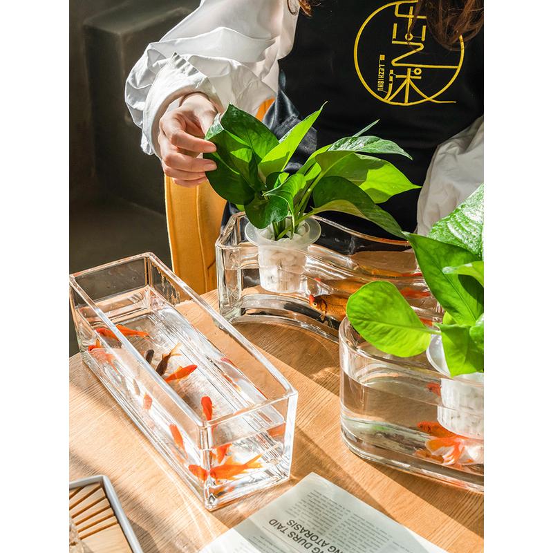 生态瓶微景观水族箱造景斗鱼缸水养植物容器创意鱼花共养造景花瓶
