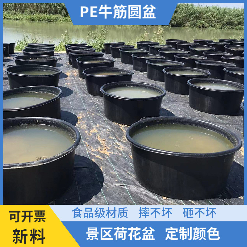 pe黑色睡圆花盆食品级塑料莲荷盆pe新料滚塑一次成型塑料圆桶