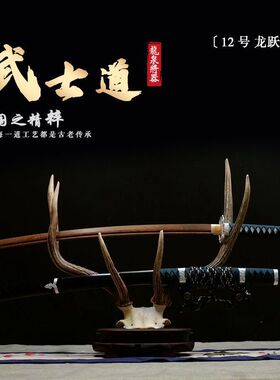 木刀一体居训武士道刀带鞘村正竹刀剑道武术合练习道具表演拨刀斩