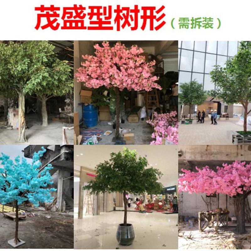 直销装饰仿真古盆景金榕树造型榕树白色榕树叶须榕树小叶榕树工厂