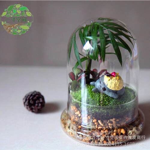 苔藓微景观休闲diy时刻创意礼品微景观套装摆件
