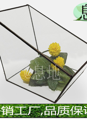 16026a包邮!几何微景观玻璃花房摆件多肉植物小玻璃花房