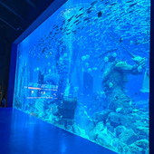 超大型亚克力鱼缸海洋馆有机玻璃承重水族馆大号壁挂式 大型鱼缸