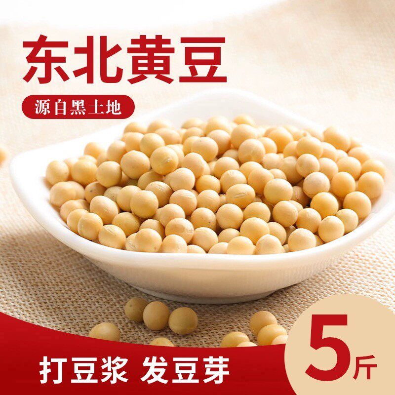 新货24年新豆东北黑龙江黄豆农家自产五谷杂粮豆浆豆芽黄豆新
